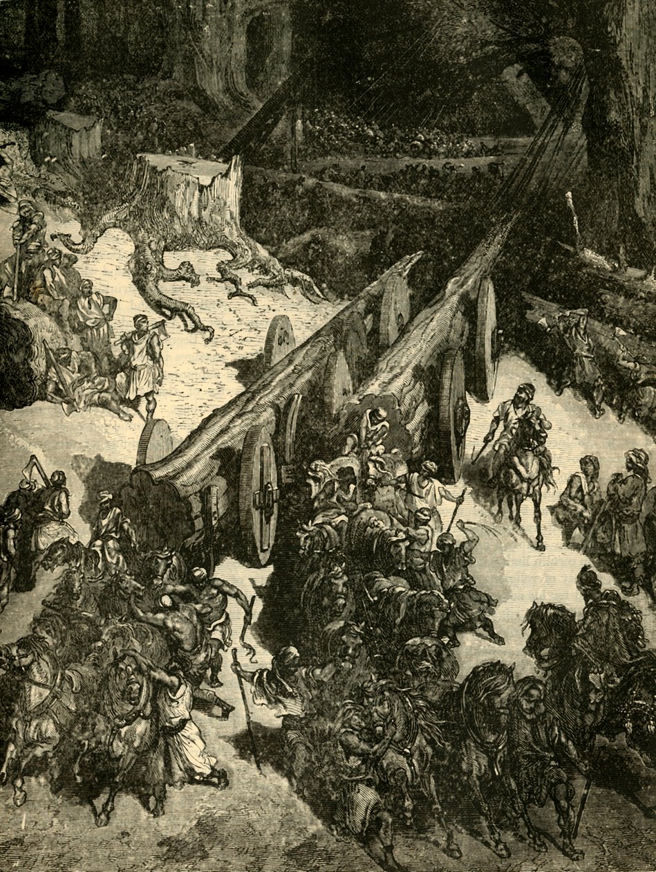 Přinášení cedru z Libanonu, 1890. od Unbekannt