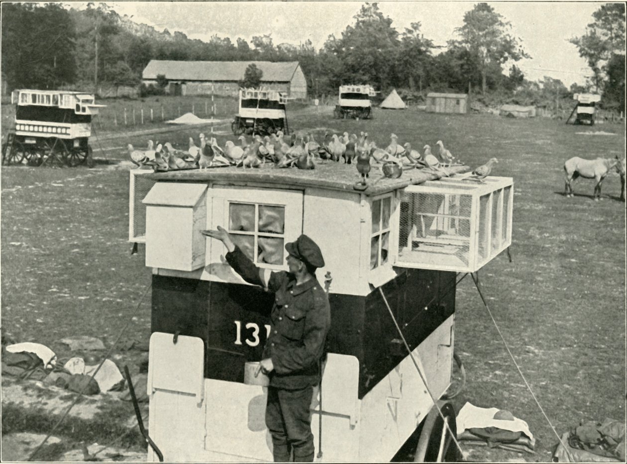 Britští poštovní holubi ve Francii: Lofty tažené koňmi, 1919. od Unbekannt