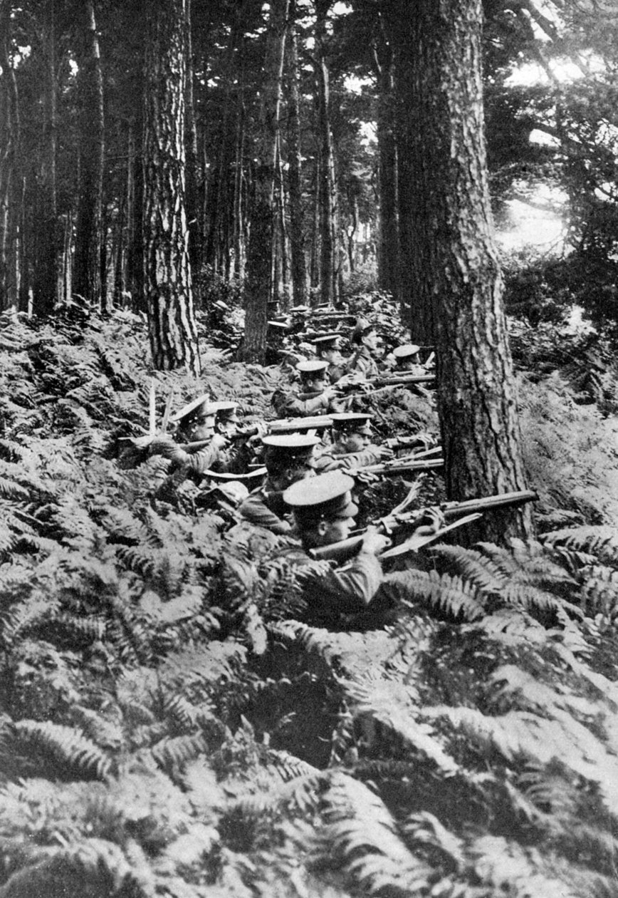 Britská pěchota v lese, první světová válka, 1914-1918, c1920 od Unbekannt