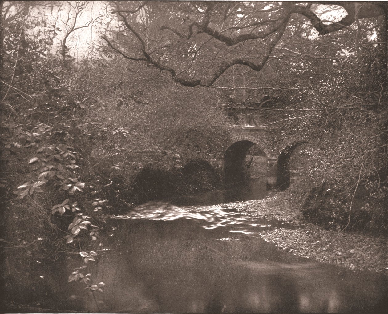 Potok a most v New Forest, Hampshire, 1894. od Unbekannt