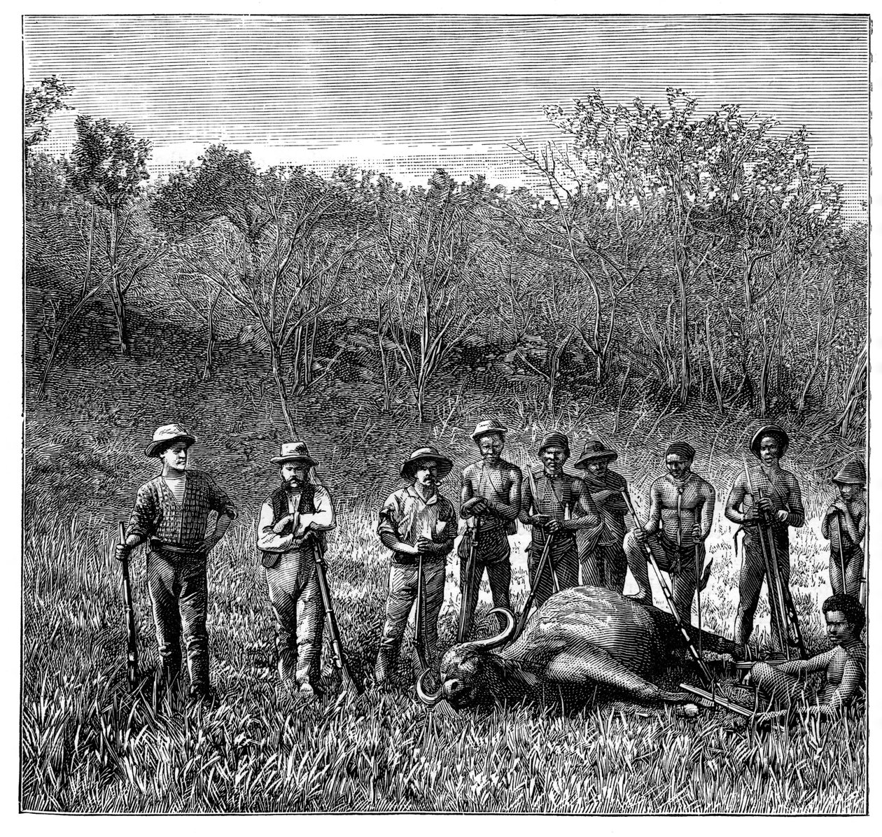 Lovci buvolů v Transvaalu, Jižní Afrika, c1890 od Unbekannt