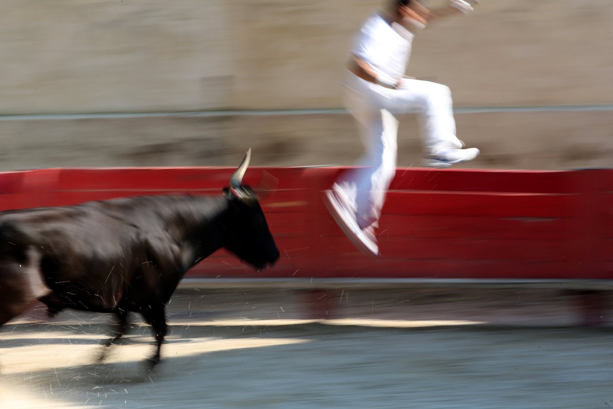 Býčí zápasy (kurz camarguaise). Nekrvavá podívaná (pro býky), ve které je cílem vyrvat růžici z hlavy býka, Vallabregues, Francie od Unbekannt
