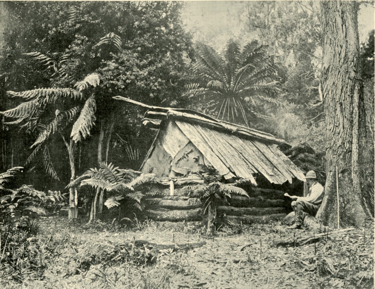Bush Hut, Dandenong Ranges, Victoria, 1901. od Unbekannt