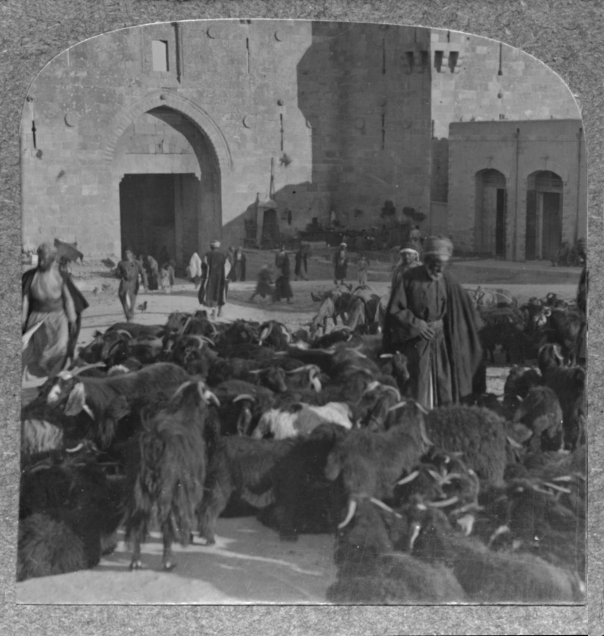 Nákup koz u Damašské brány, Jeruzalém, 1900 od Unbekannt