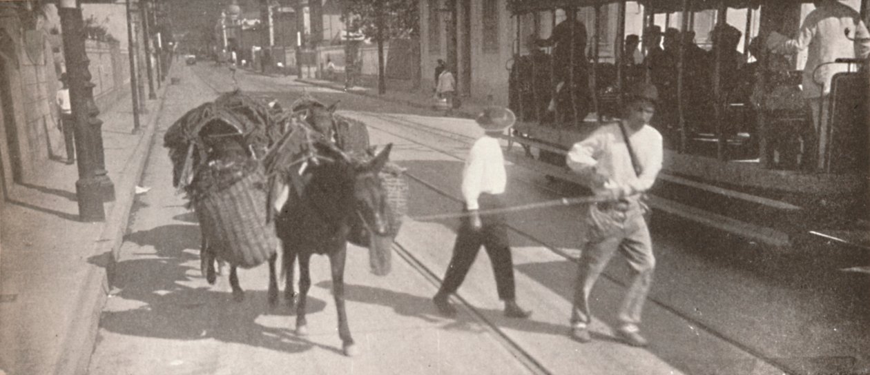 Tramvají a mezkem, 1914 od Unbekannt
