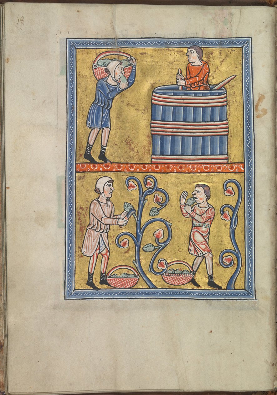 Kalendář, září, muži sbírání a šlapání hroznů - žaltář Eleonory Akvitánské (asi 1185) - KB 76 F 13, folium 009v od Unbekannt