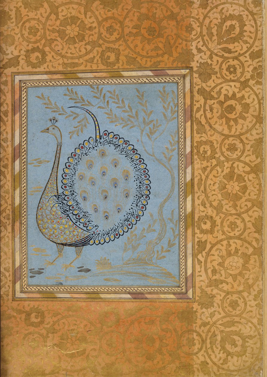 Kaligrafická kompozice ve tvaru páva, Folio z Belliniho alba, ca. 1600. od Unbekannt