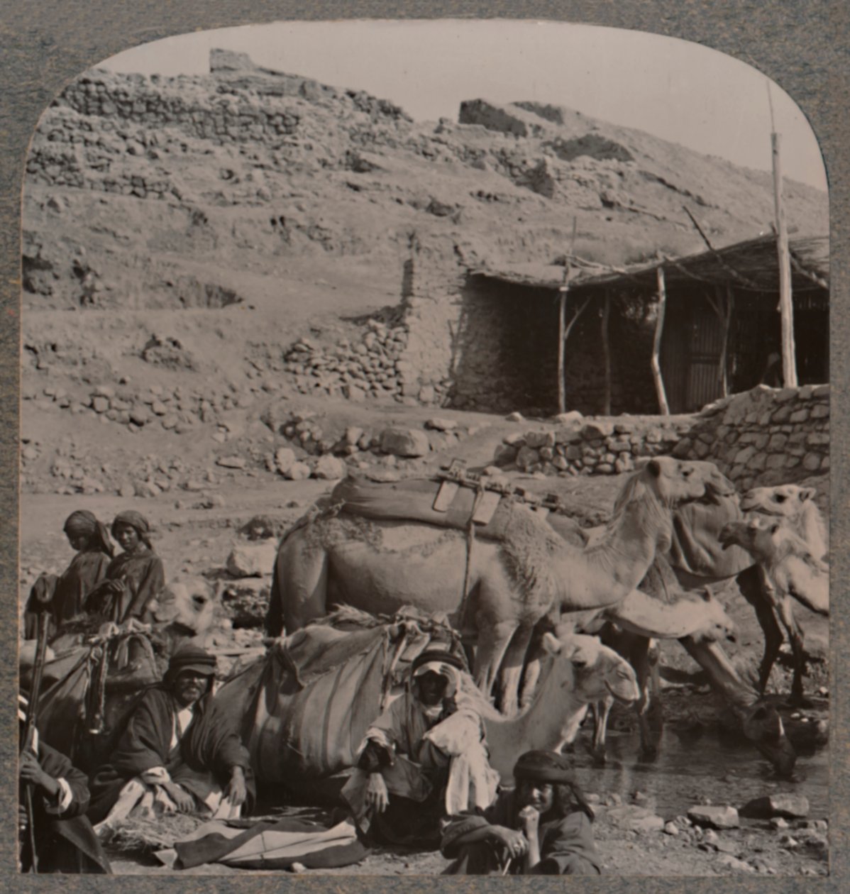 Velbloudí vlak z Jerash, zalévání u fontány Elisha, c1900 od Unbekannt