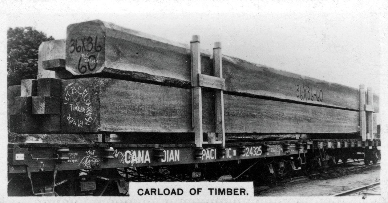 Carload z douglasky, Kanada, 20. léta 20. století od Unbekannt