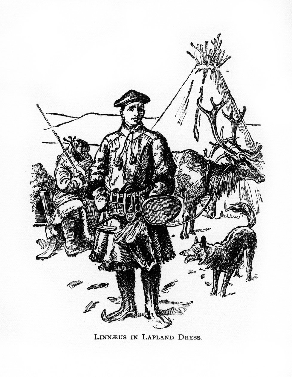 Carolus Linnaeus, švédský botanik, lékař a zoolog 18. století, 20. století od Unbekannt