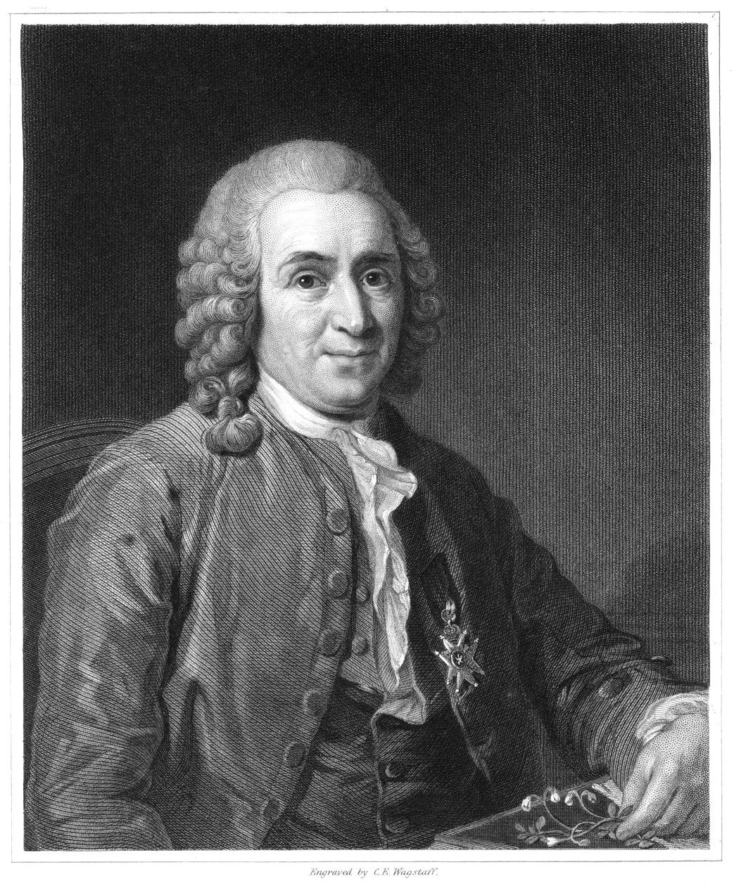 Carolus Linnaeus, švédský přírodovědec z 18. století, 1835 od Unbekannt