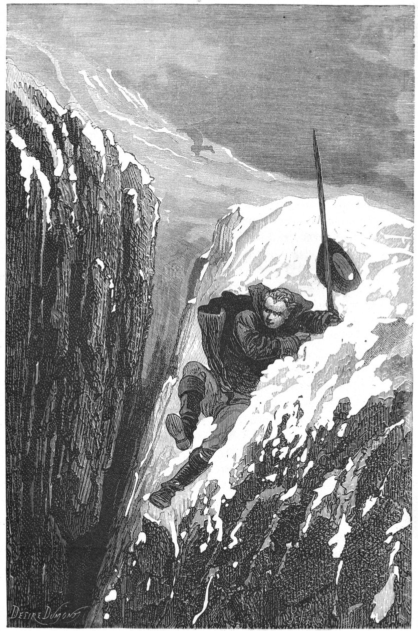 Carolus Linnaeus, švédský vědec a přírodovědec 18. století, 1874 od Unbekannt
