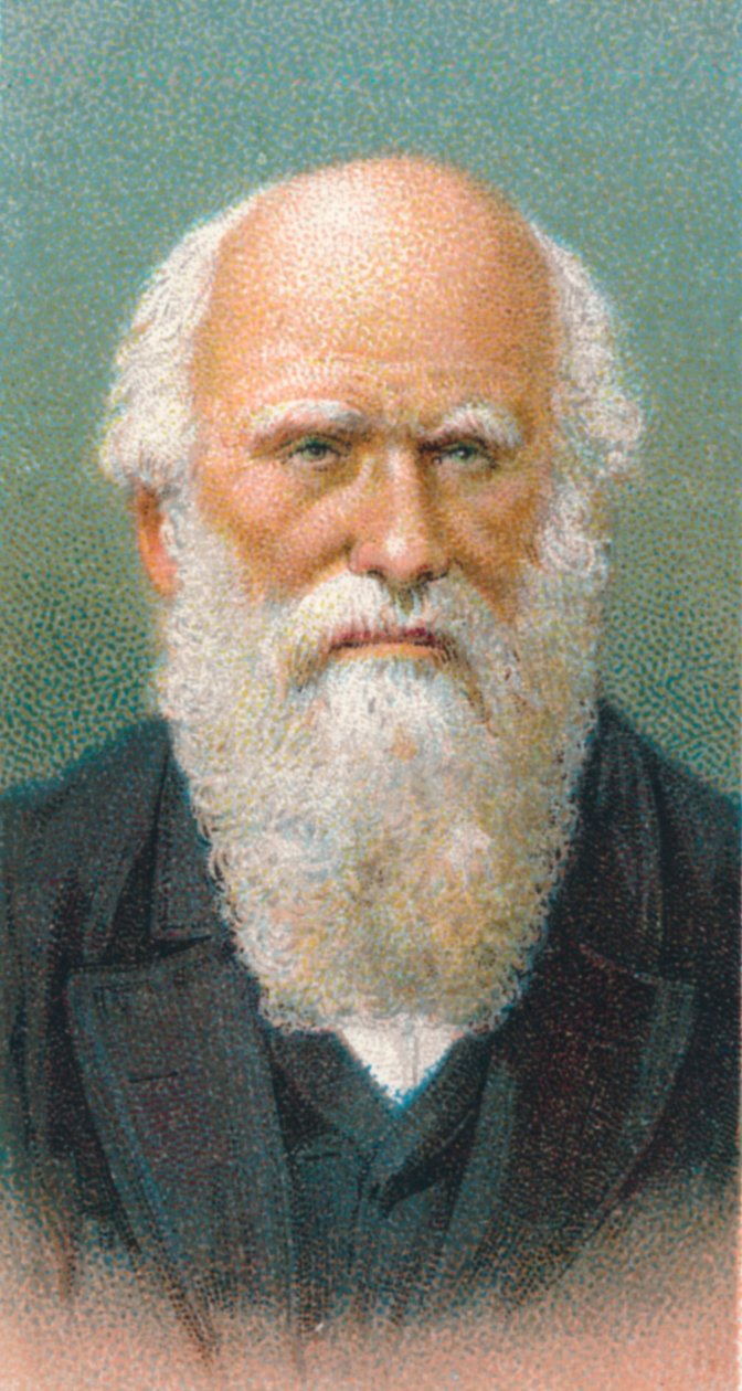 Charles Darwin 1809-1882, britský přírodovědec, 1924 od Unbekannt