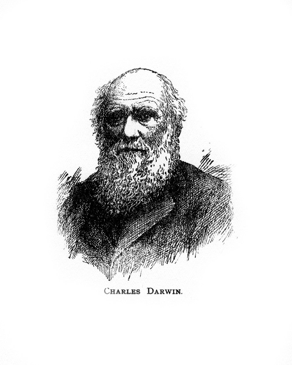 Charles Darwin, britský přírodovědec 19. století, 20. století od Unbekannt