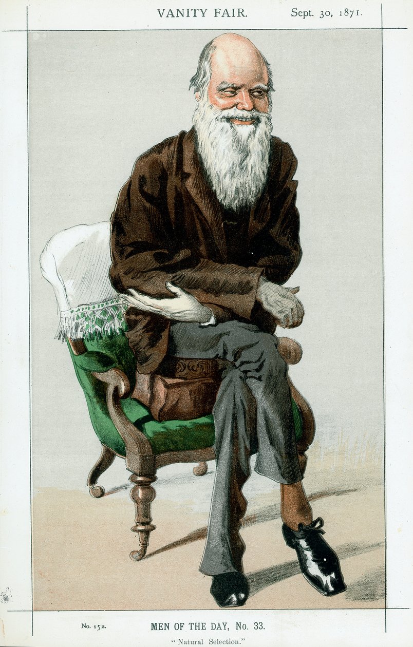 Charles Darwin, anglický přírodovědec, 1871 od Unbekannt