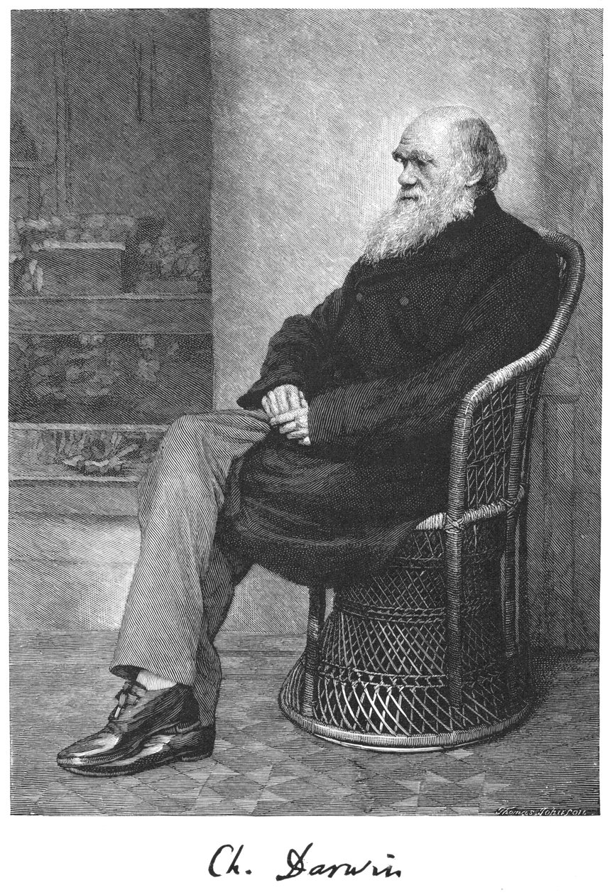 Charles Darwin, anglický přírodovědec, 1883 od Unbekannt