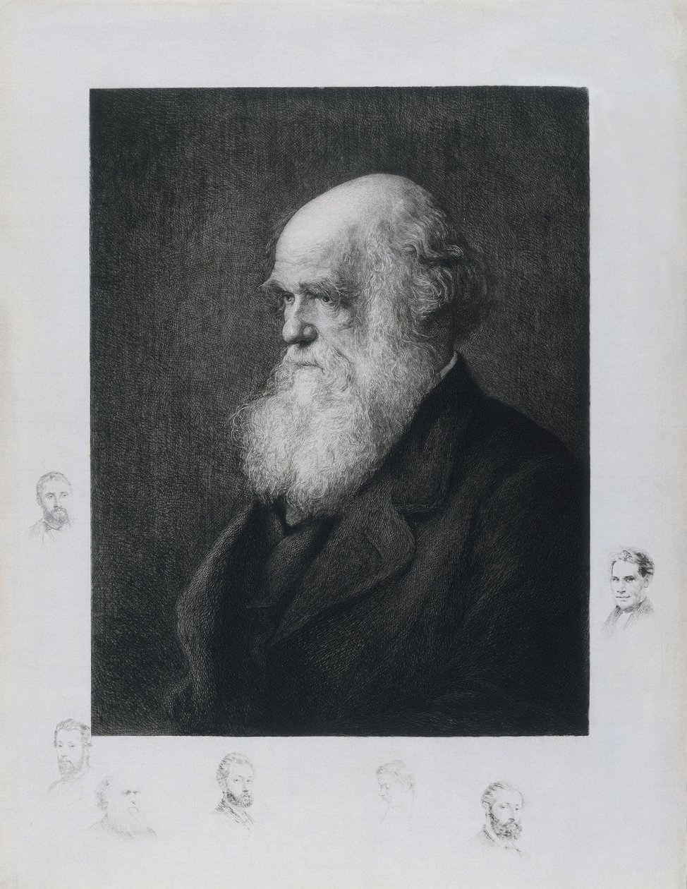 Charles Darwin, anglický přírodovědec, c 1860 od Unbekannt
