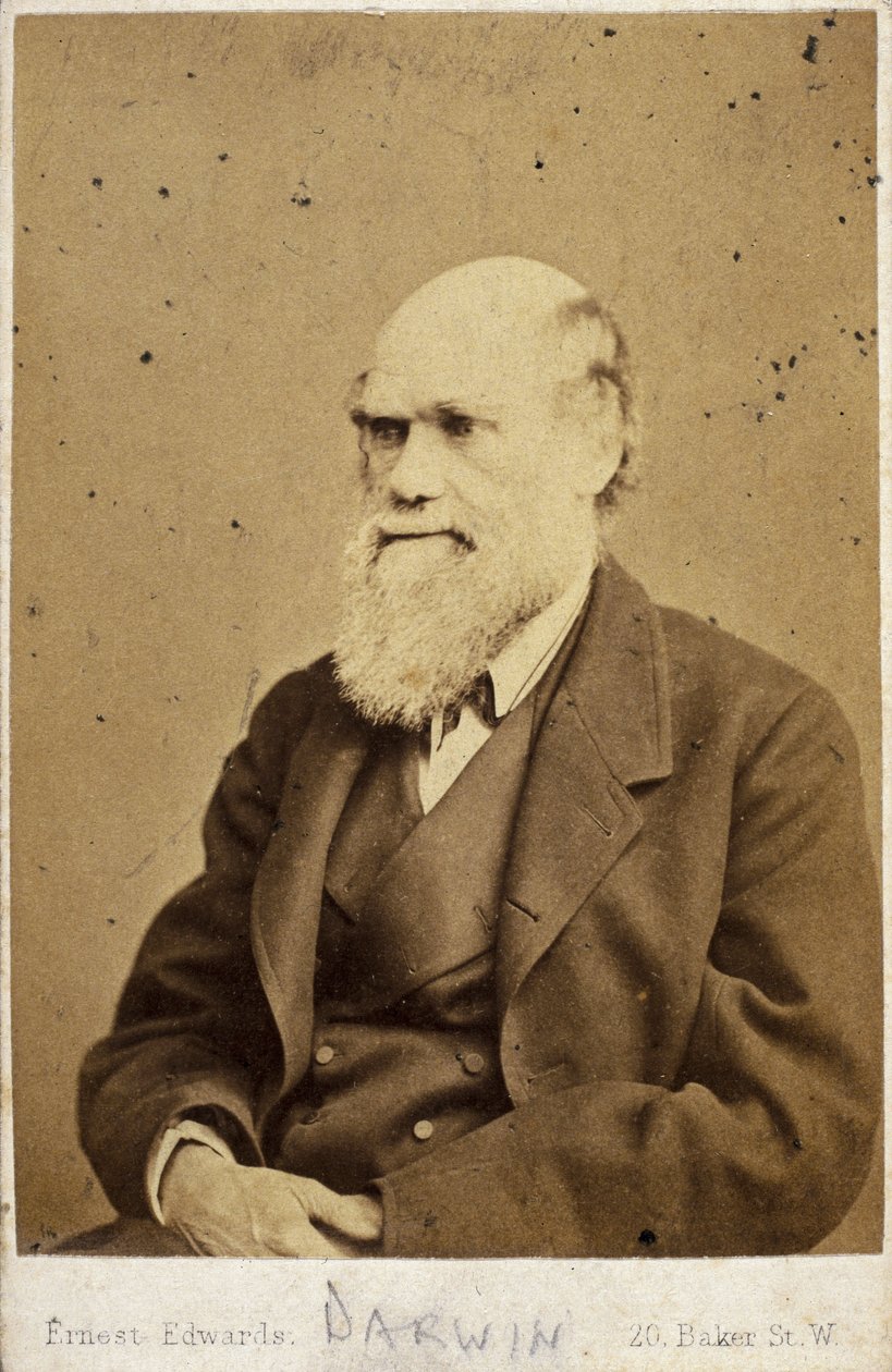 Charles Darwin, anglický přírodovědec, c 1870 od Unbekannt