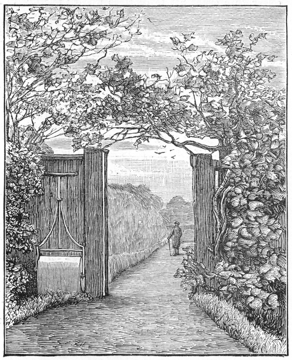 Charles Darwin na procházce pískem v Down House, c1870 1887 od Unbekannt