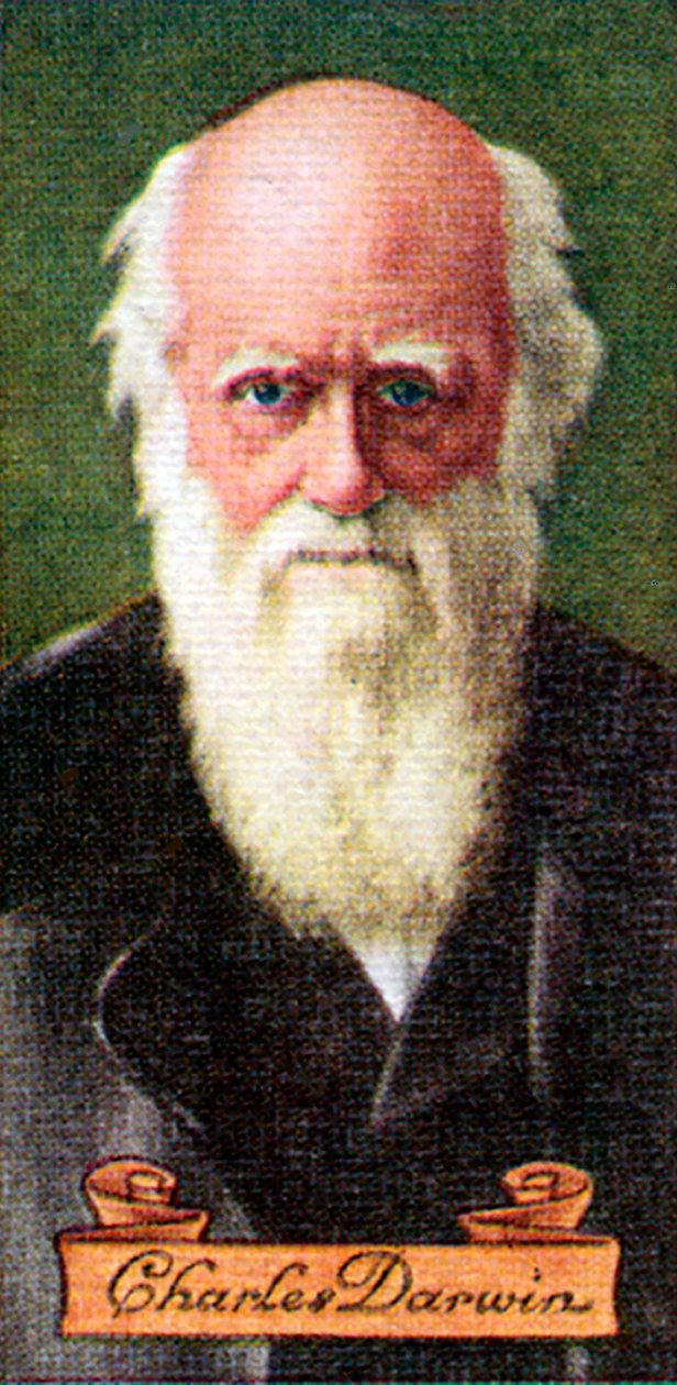 Charles Darwin, převzato ze série cigaretových karet, 1935 od Unbekannt
