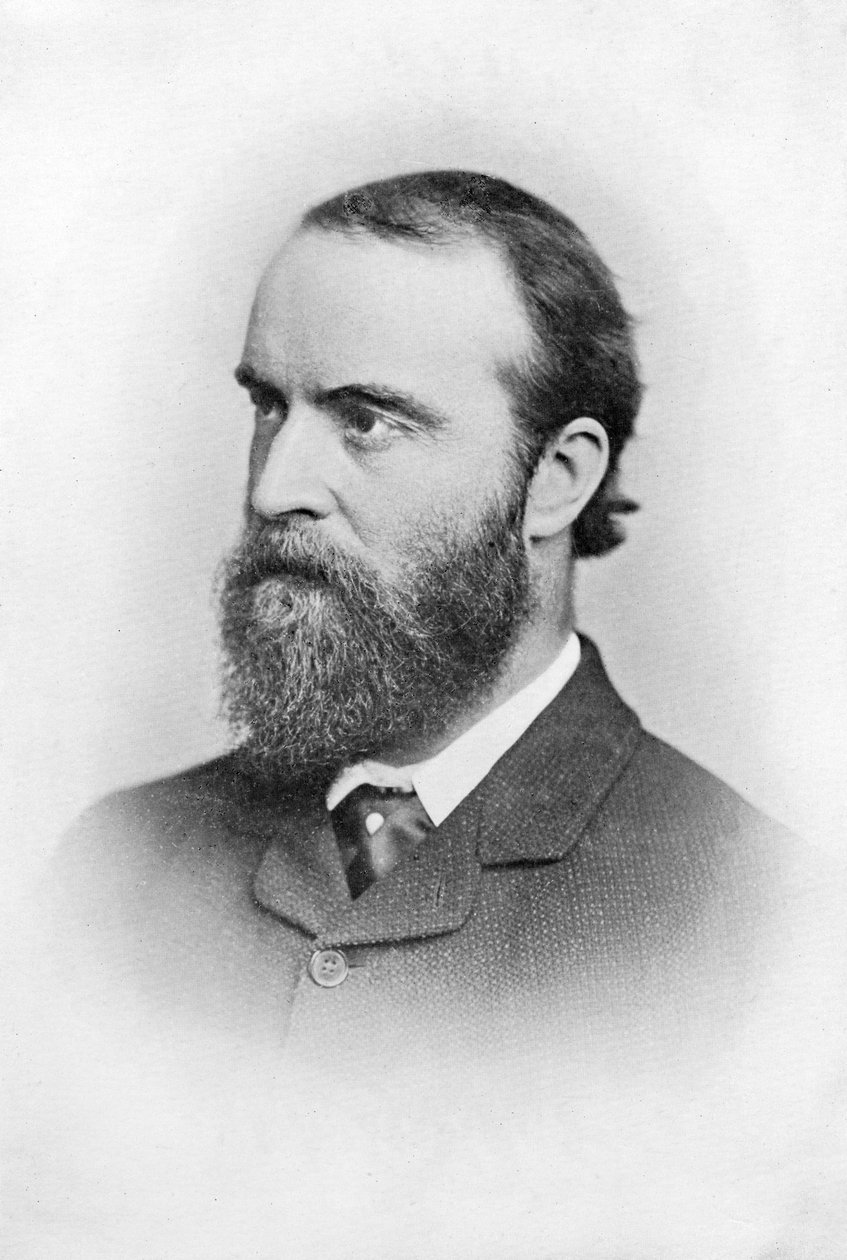 Charles Stuart Parnell, irský politik z 19. století, c1874-1891 od Unbekannt