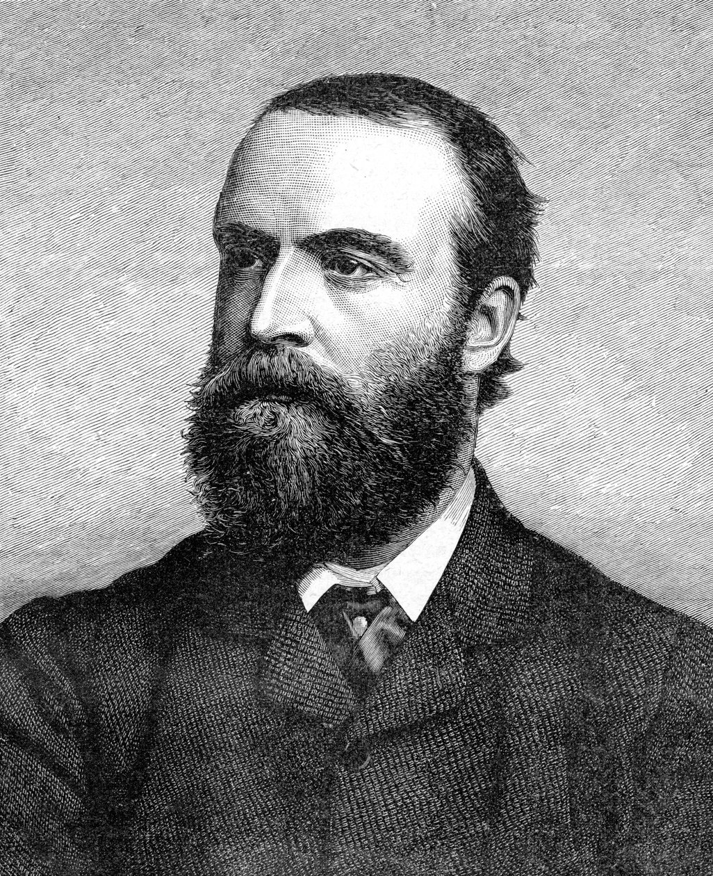 Charles Stuart Parnell, irský politik z 19. století, c1874-1891 od Unbekannt