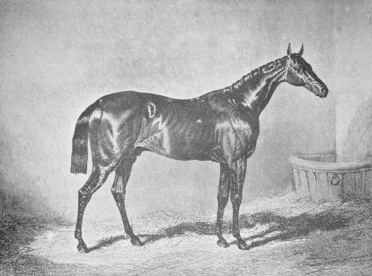 Karel XII., vítěz St. Leger 1839, 1911 od Unbekannt