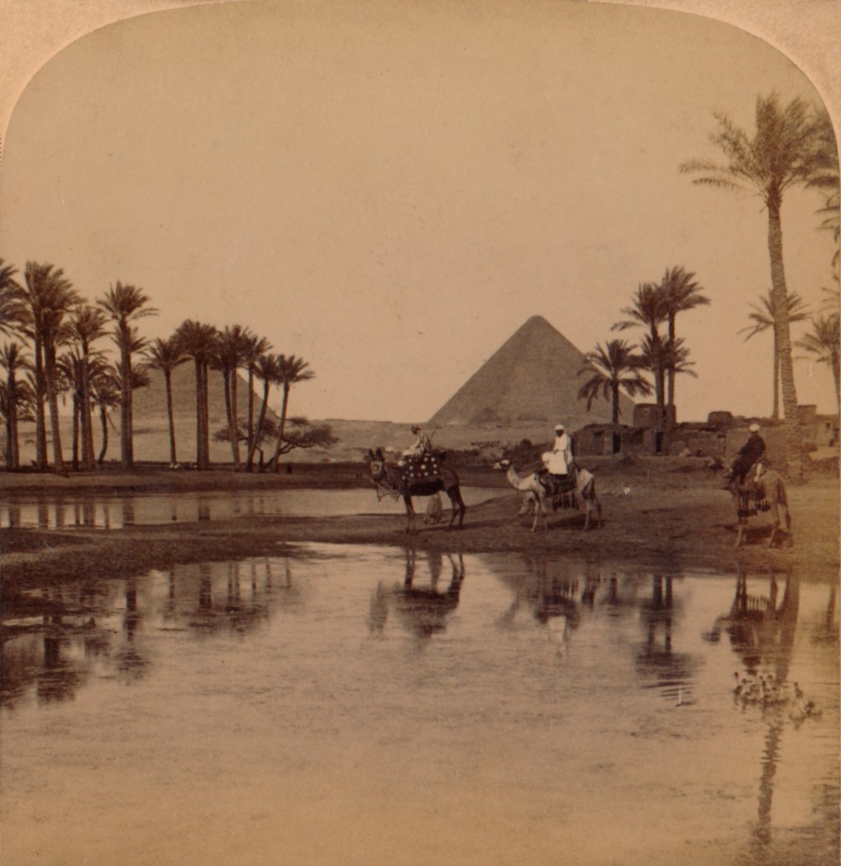 Cheops z úrodného údolí Nilu, Egypt, 1896 od Unbekannt
