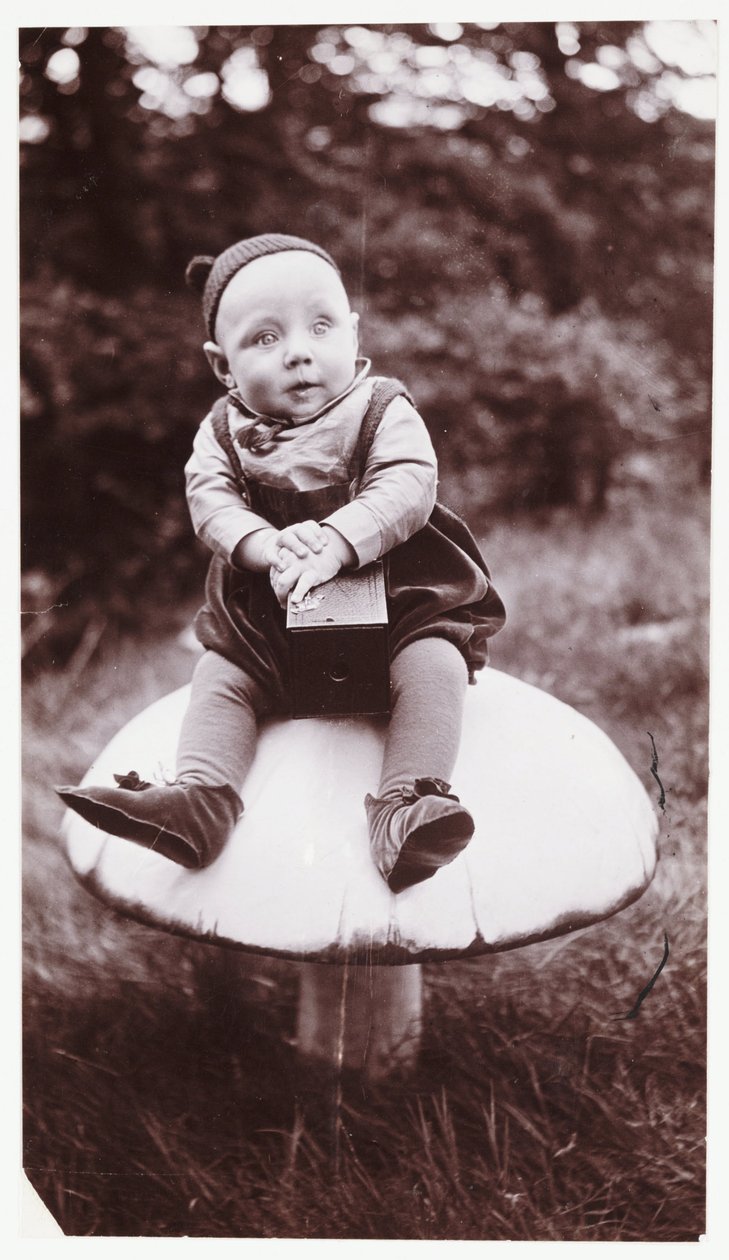Dítě s fotoaparátem Brownie, c 1900 Snímek malého chlapce oblečeného jako Brownie, pořízený Georgem Alfredem Wyattem (1870-1922) od Unbekannt