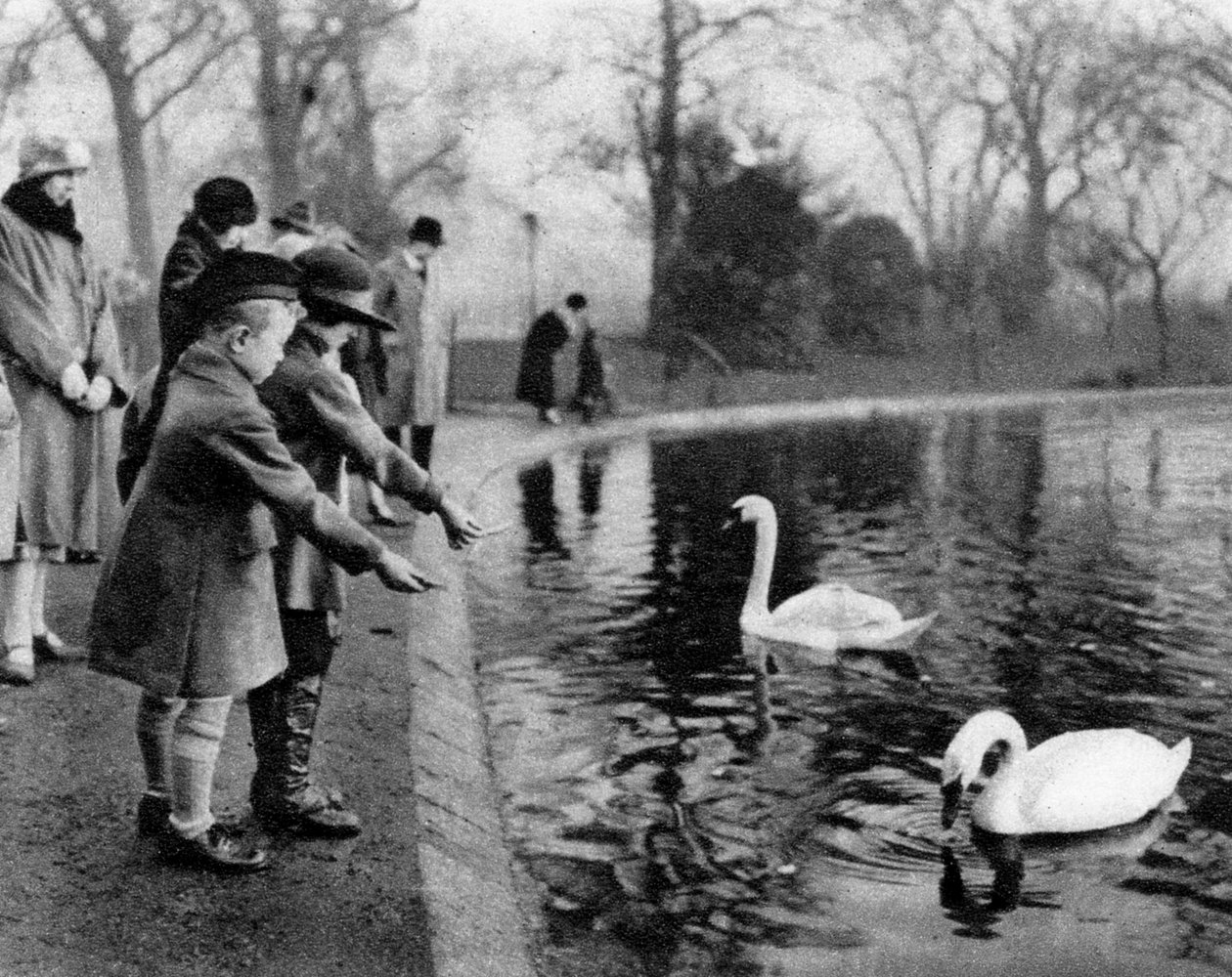 Děti krmící labutě na Serpentine, Londýn, 1926-1927 od Unbekannt