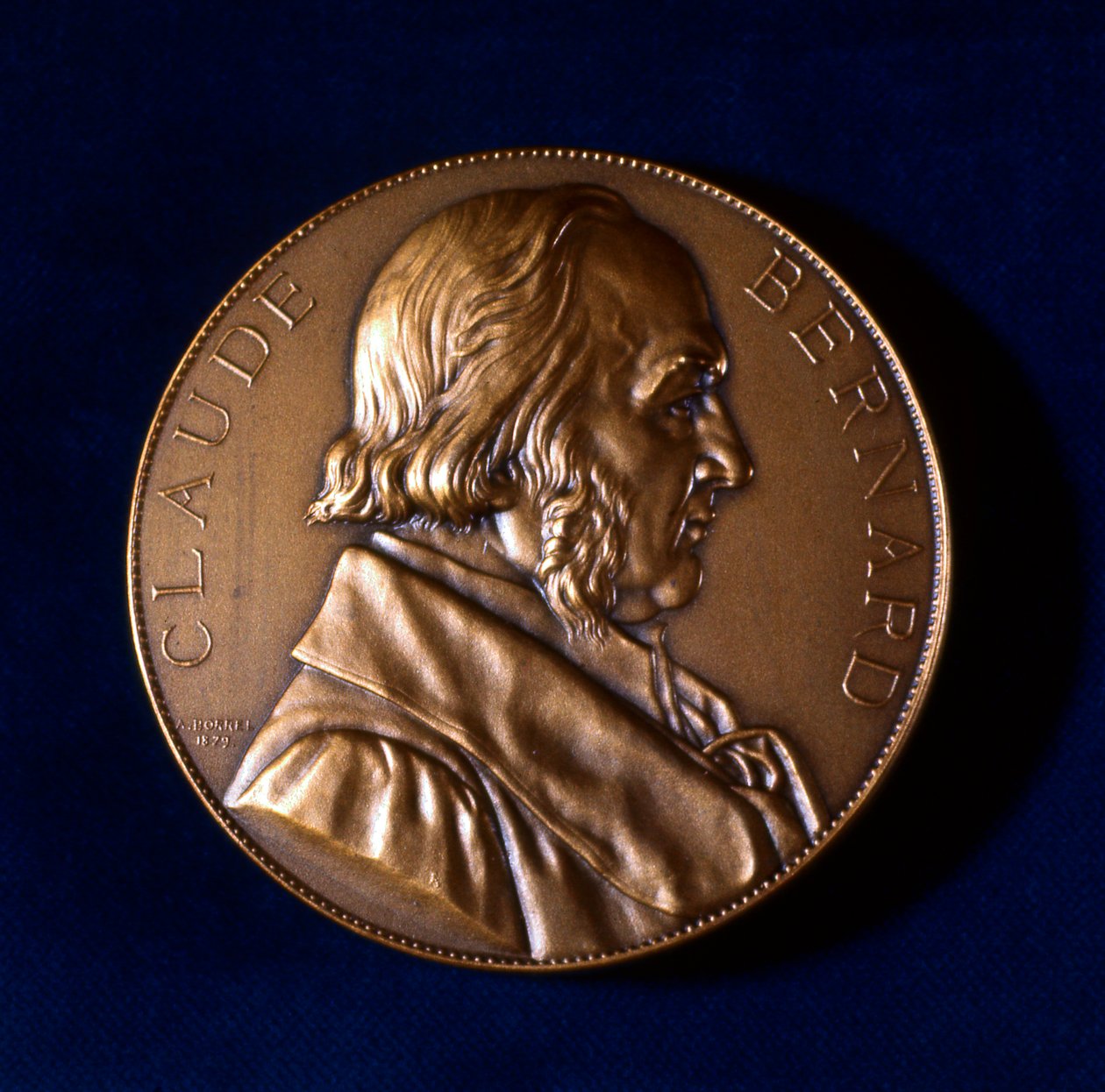 Claude Bernard, francouzský fyziolog, 19. století od Unbekannt