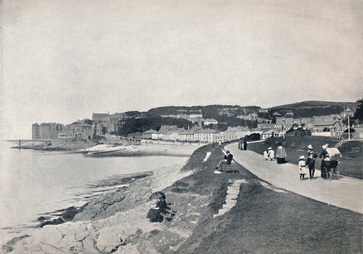 Clevedon - The Green Beach, 1895 od Unbekannt