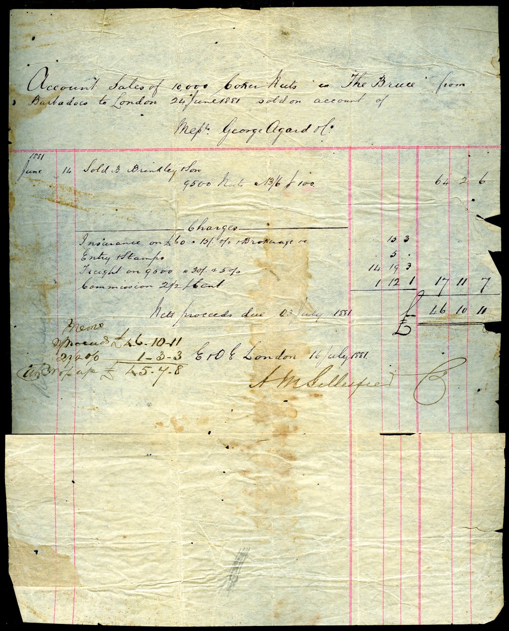 Potvrzení o prodeji kokosu, Barbados do Londýna, 1881 od Unbekannt