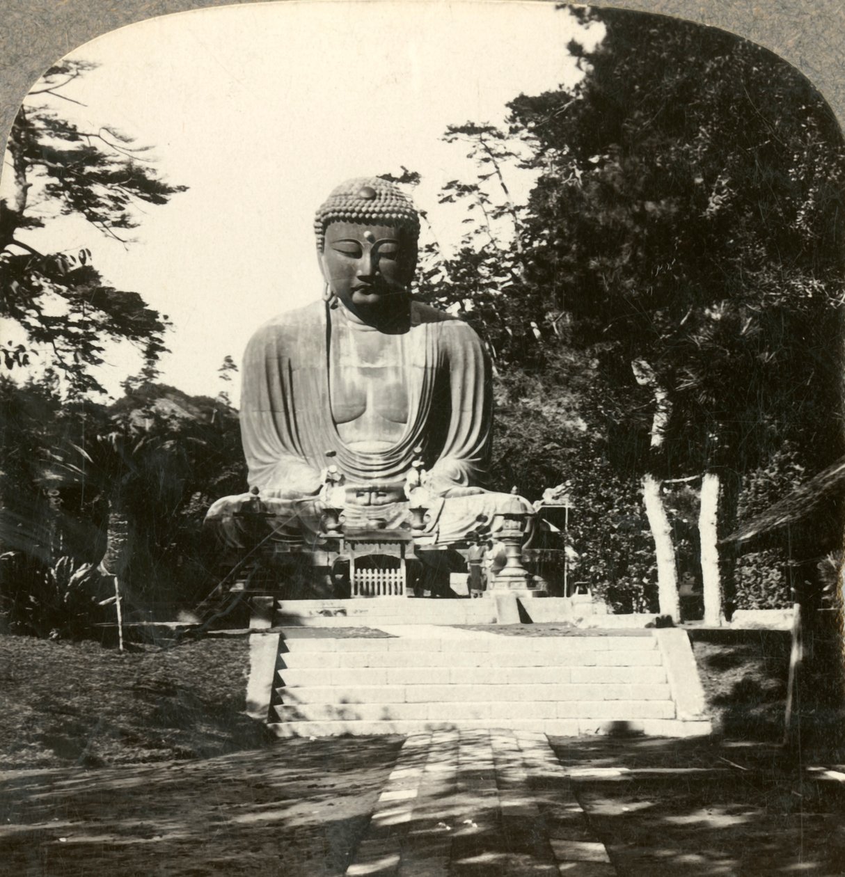 Kolosální socha Buddhy, uctívaná Japonci, v lesním chrámu, Kamakura, Japonsko, c1900. od Unbekannt