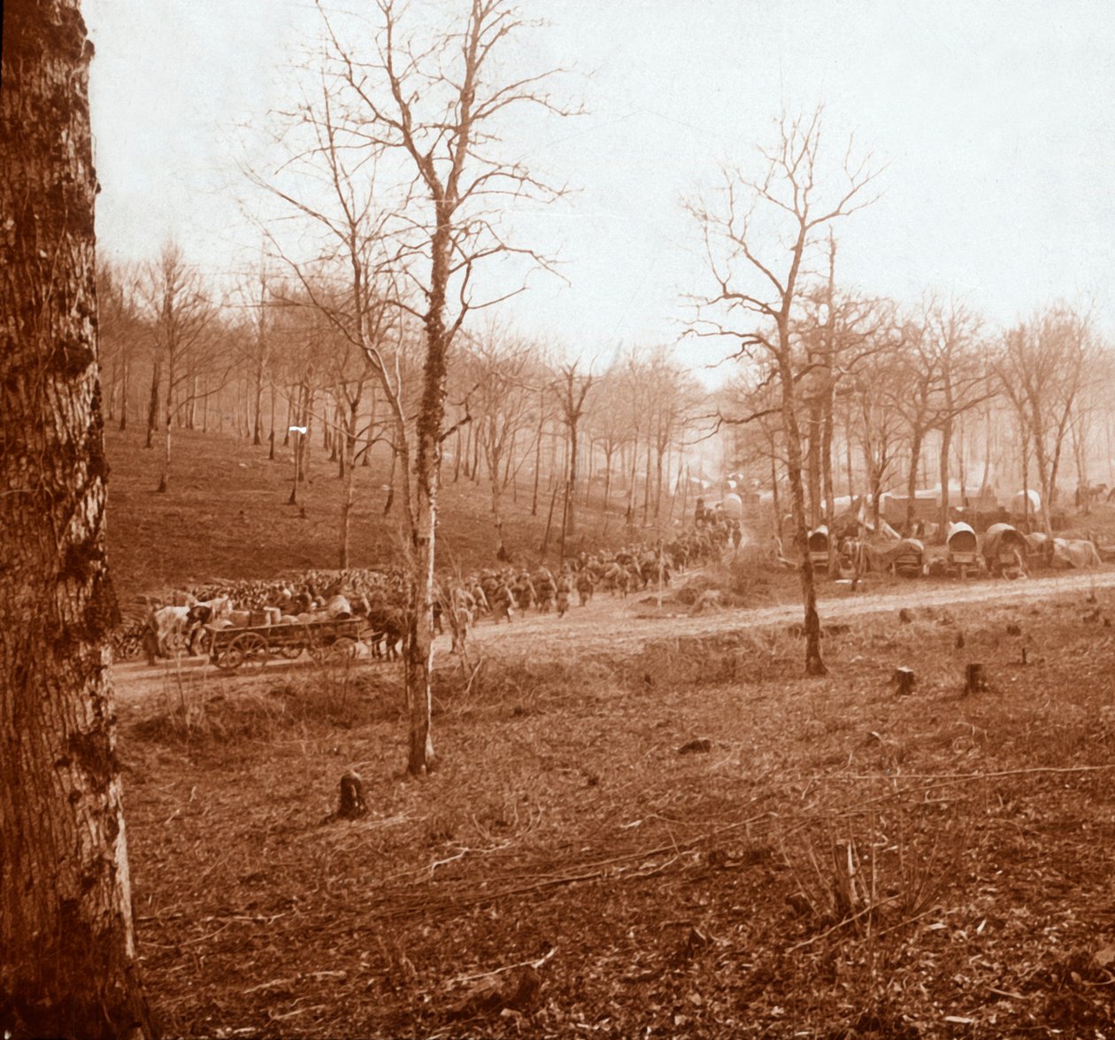 Sloupec vojsk, Genicourt, severní Francie, c1914-c1918 od Unbekannt