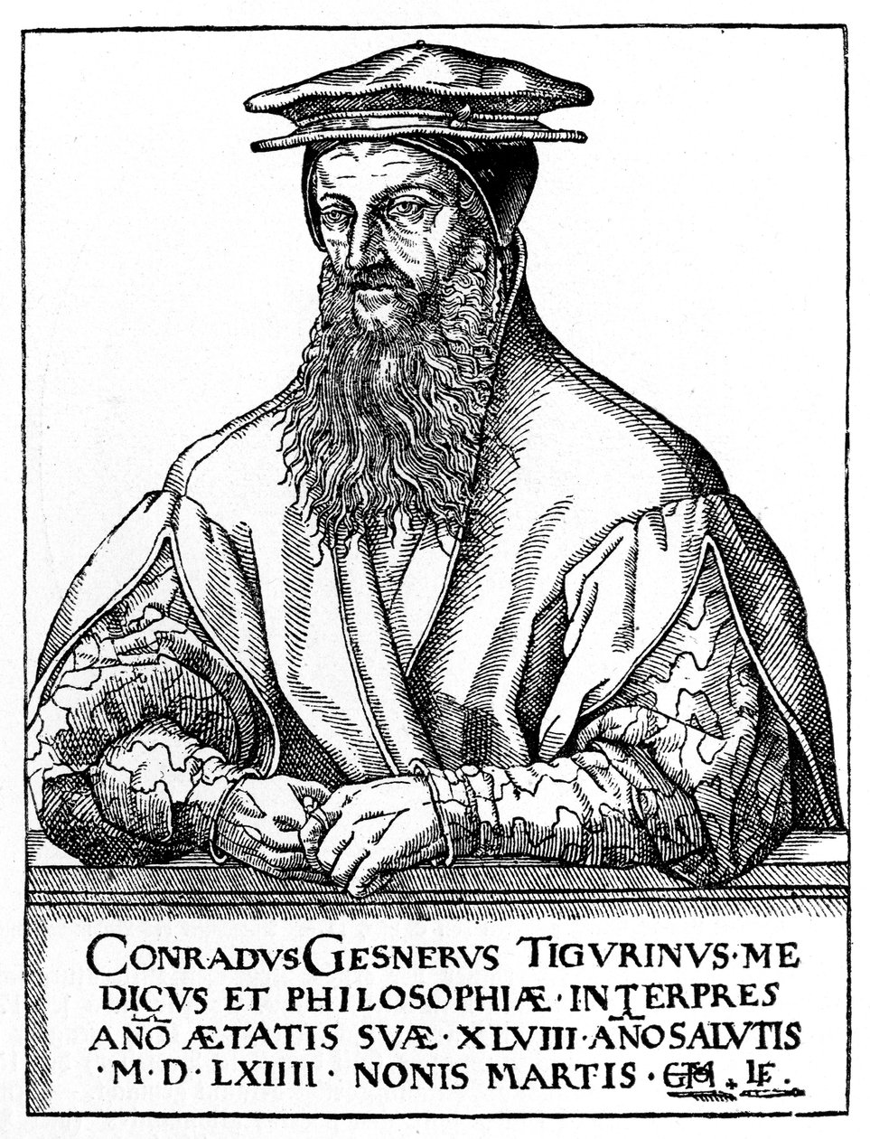 Conrad Gessner, švýcarský přírodovědec, 1887 od Unbekannt