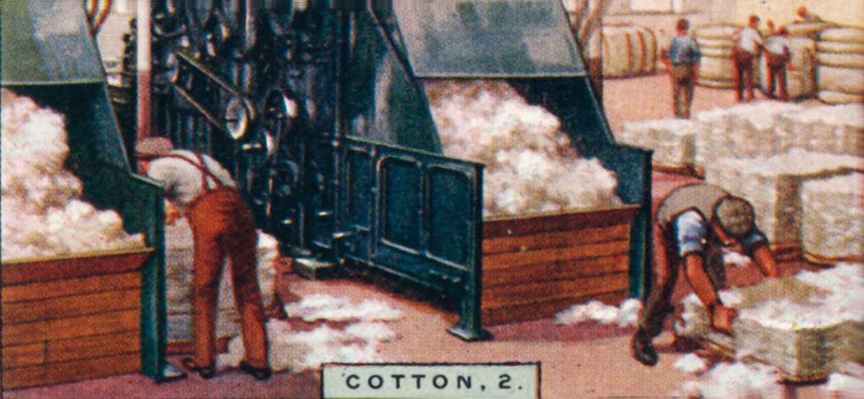Cotton, 2. - Breaking up Bales in Mixing Room, Anglie, 1928 od Unbekannt