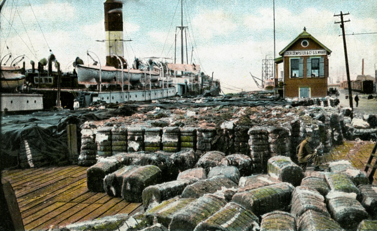 Cotton Wharves, New Orleans, Louisiana, USA, počátek 20. století od Unbekannt