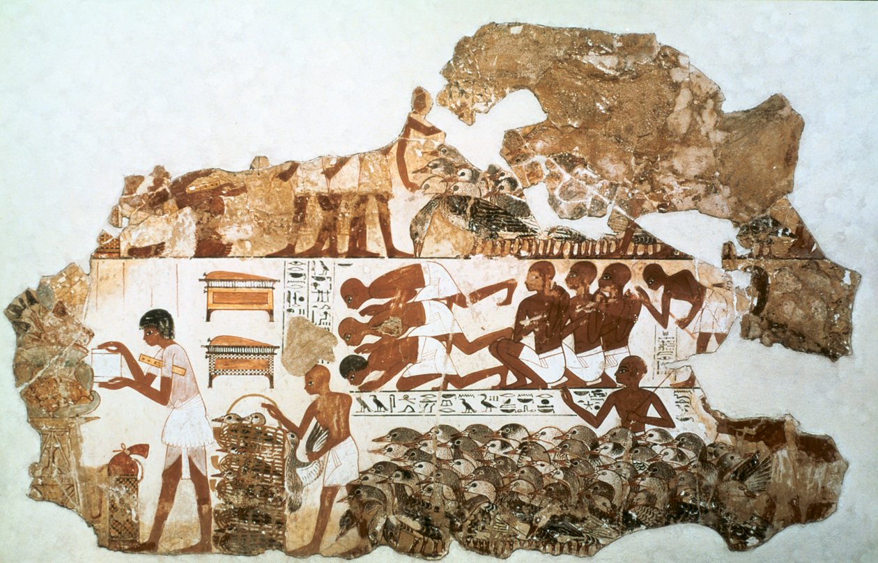 Počítání hus: fragment nástěnné malby z hrobky Nebamuna, Théby, Egypt, c1350 př.n.l. od Unbekannt