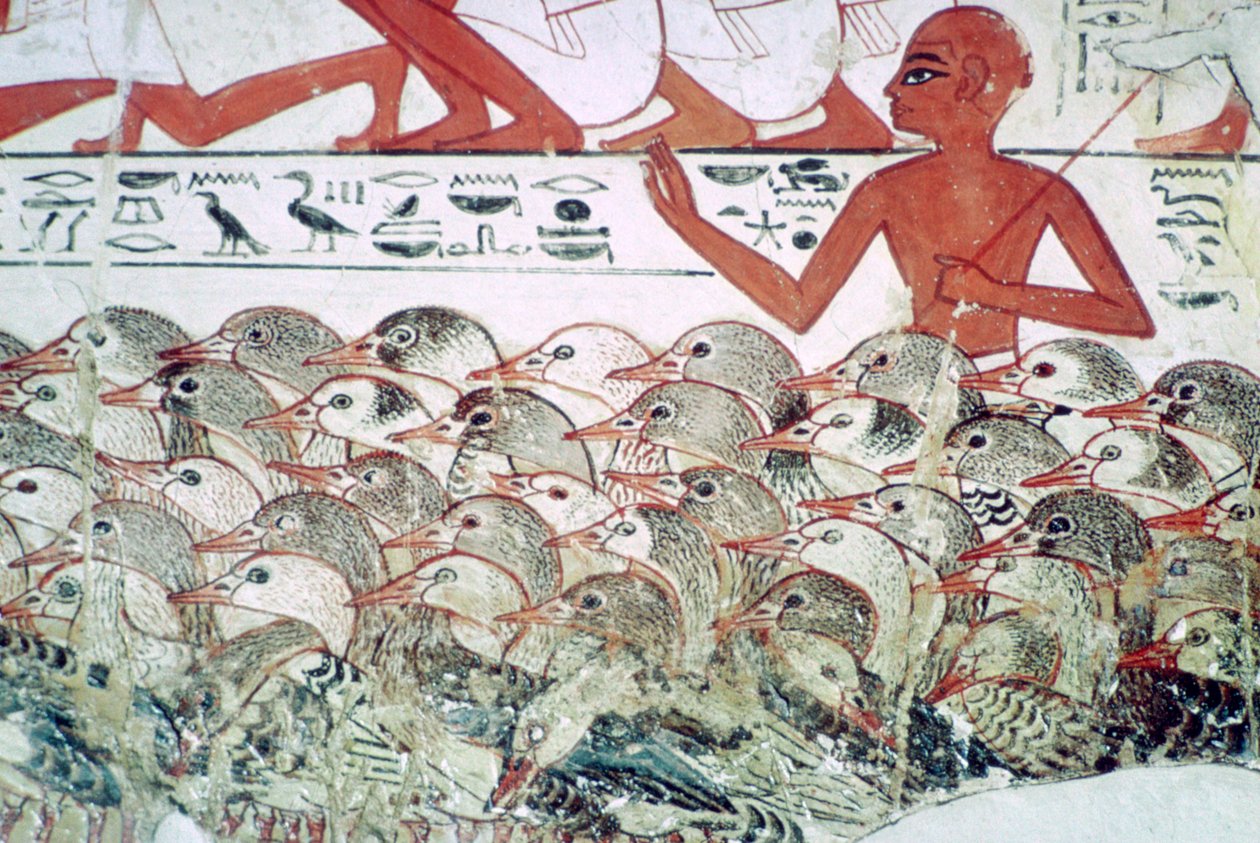 Počítání hus: fragment nástěnné malby z hrobky Nebamuna, Théby, Egypt, c1350 př.n.l. od Unbekannt