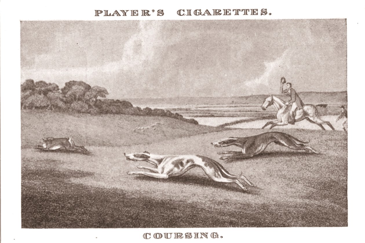 Coursing-11, 1924. od Unbekannt