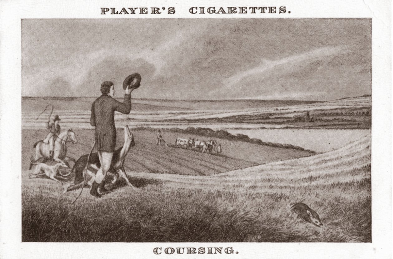 Coursing-1, 1924. od Unbekannt