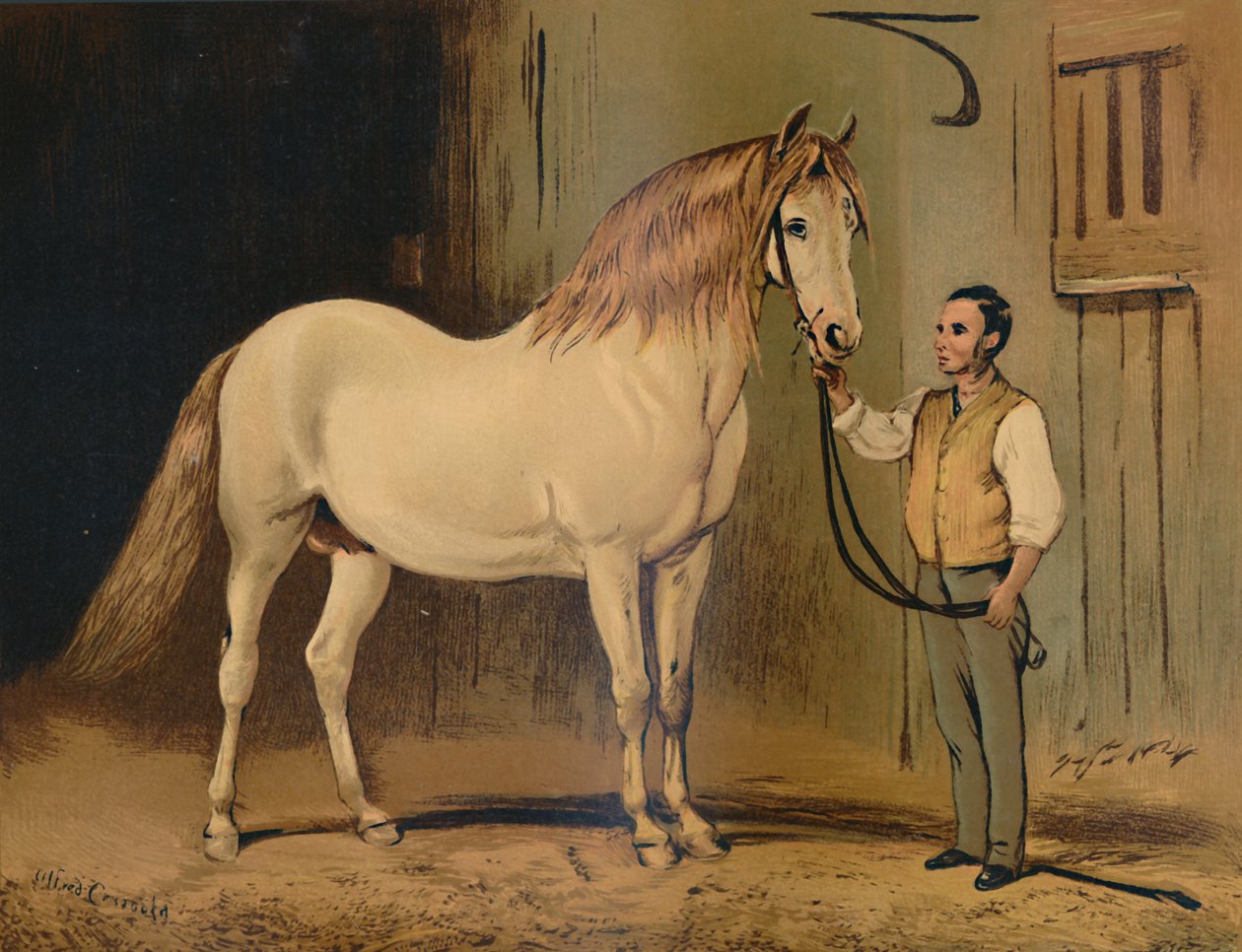 Krémový státní kočárový kůň. Of Her Majestys Stud, c1879. od Unbekannt