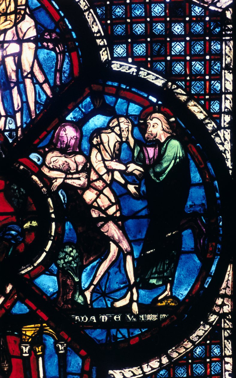 Stvoření Evy, barevné sklo, katedrála v Chartres, Francie, 1205-1215 od Unbekannt