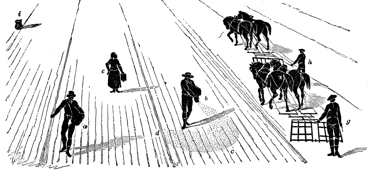 Střídání plodin: setí a brány kukuřice, 1855 od Unbekannt