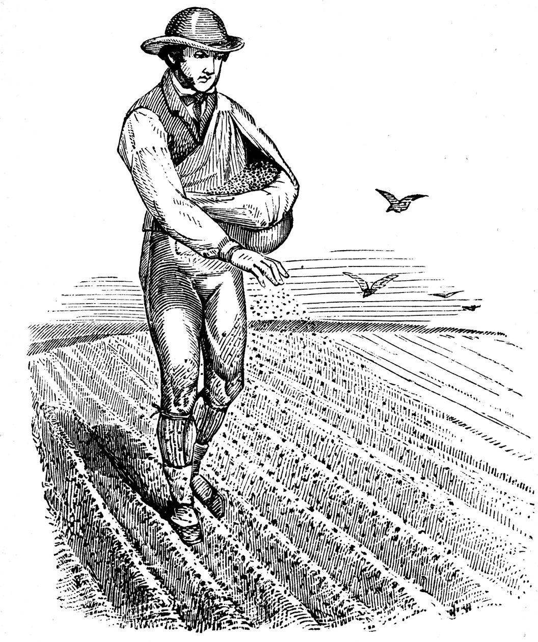 Střídání plodin: vysévání semen, 1855 od Unbekannt