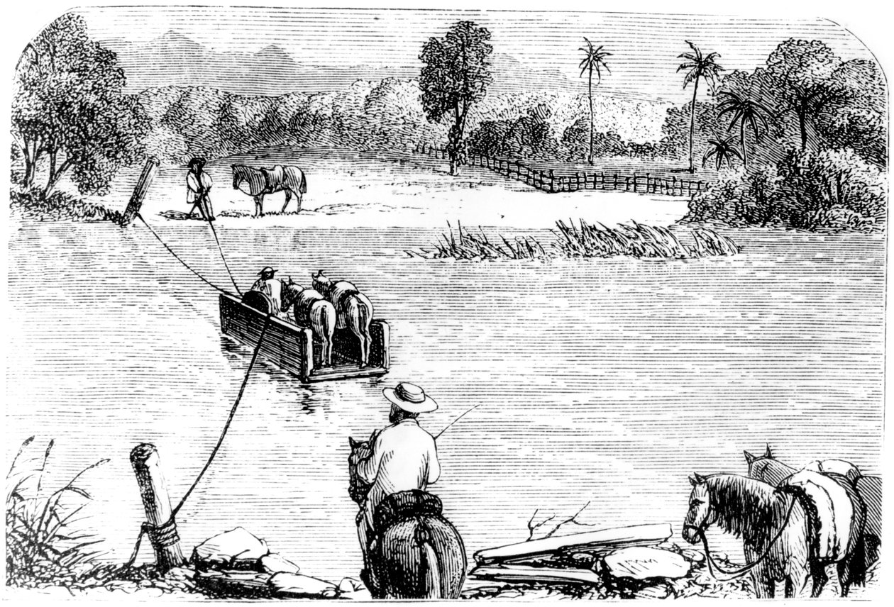 Přechod přes Isabellu, Santo Domingo, 1873 od Unbekannt