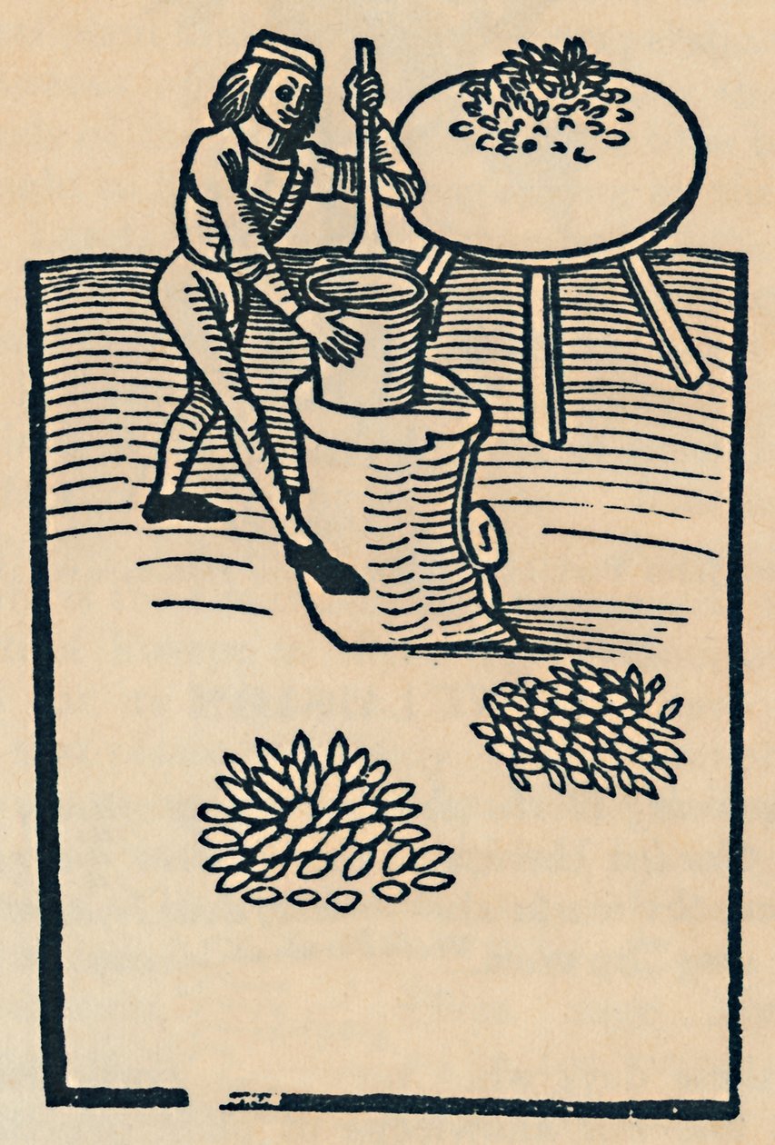 Drcení bylinek v hmoždíři, 1947 od Unbekannt