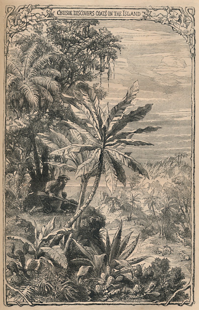 Crusoe objevuje kozy na ostrově, c1870 od Unbekannt