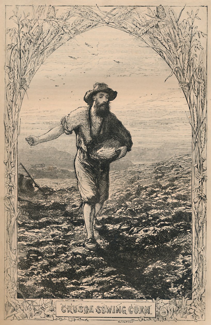 Crusoe setí kukuřice, c1870 od Unbekannt